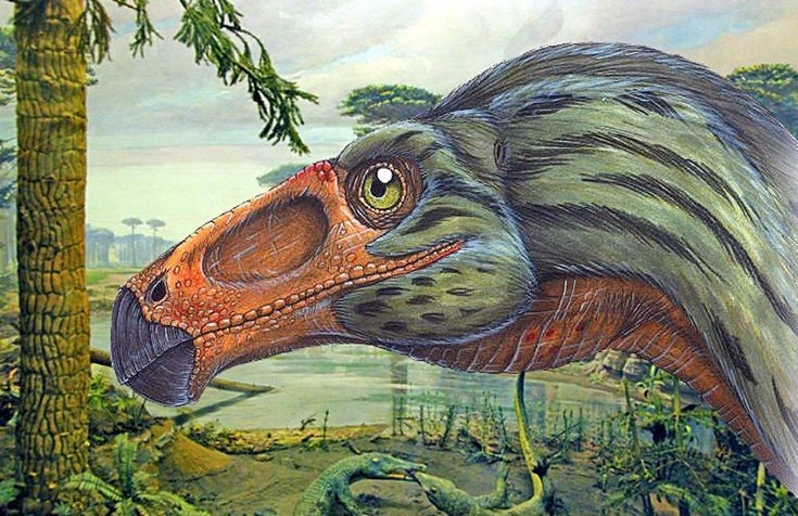  Là mắt xích quan trọng trong nghiên cứu tiến hóa. Suzhousaurus giúp các nhà khoa học hiểu rõ hơn quá trình chuyển đổi từ khủng long ăn thịt sang ăn thực vật trong nhóm chân thú. Ảnh: Pinterest.