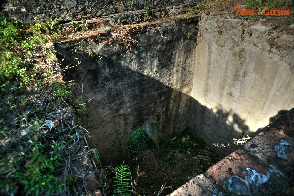 Hổ luôn bị làm suy yếu trước khi giao đấu. Để đảm bảo an toàn cho voi, hổ thường bị bẻ vuốt, cắt nanh, cho thấy kết quả trận đấu gần như đã được định đoạt từ trước.