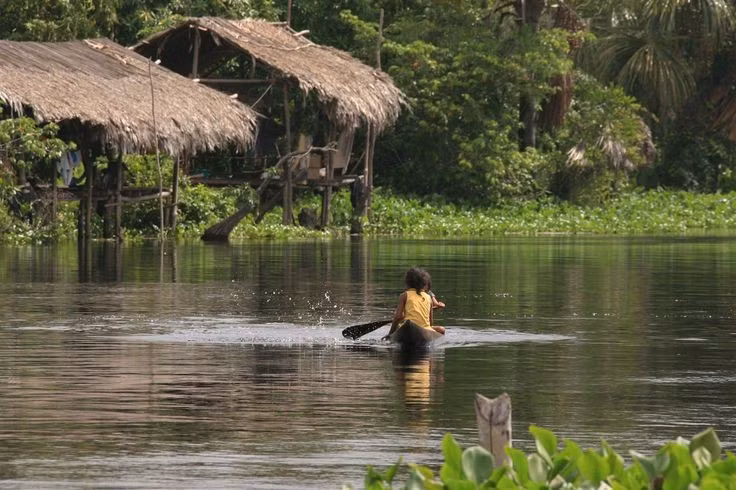  Tên gọi “Warao” có nghĩa là “người của thuyền” hoặc “người nước”. Họ được gọi như vậy vì sinh kế và văn hóa của người Warao luôn xoay quanh con sông Orinoco cũng như việc đi lại bằng thuyền truyền thống. Ảnh: Pinterest.