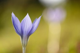 Người sinh tháng 2 Âm lịch có khả năng xây dựng các mối quan hệ xã hội bền vững, và thường gặp quý nhân trong sự nghiệp. Ảnh minh họa