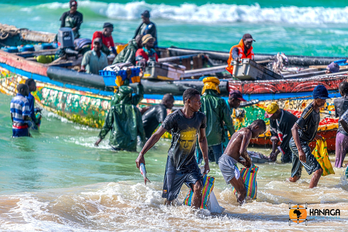  Cộng đồng ngư dân truyền thống Imraguen. Người Imraguen sống trong khu vực vẫn duy trì phương thức đánh bắt cá truyền thống, thậm chí hợp tác với cá heo để dồn cá vào lưới. Ảnh: kanaga-at.com/.