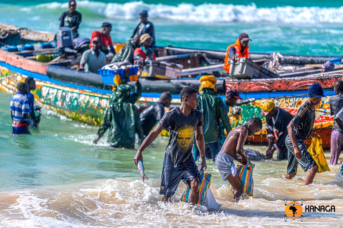  Cộng đồng ngư dân truyền thống Imraguen. Người Imraguen sống trong khu vực vẫn duy trì phương thức đánh bắt cá truyền thống, thậm chí hợp tác với cá heo để dồn cá vào lưới. Ảnh: kanaga-at.com/.