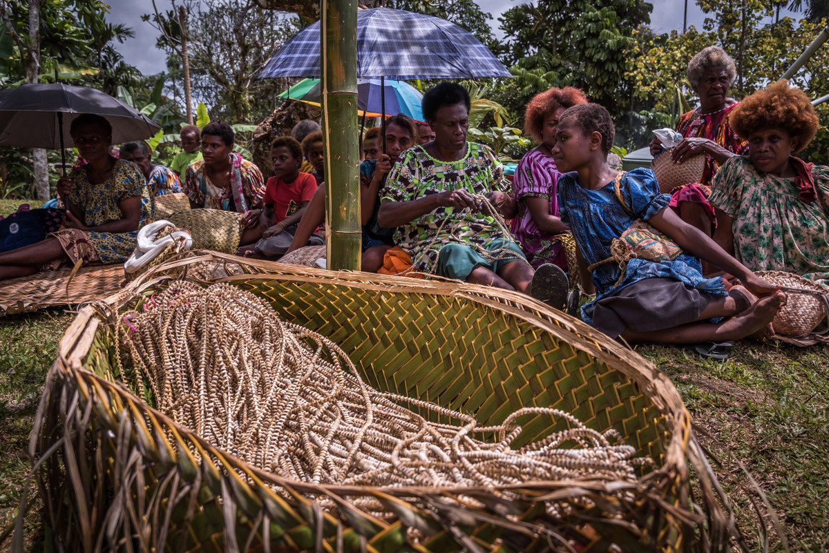  Nghi lễ và lễ hội mang tính cộng đồng cao. Các nghi thức vòng đời, lễ trao đổi tabu và các buổi khiêu vũ truyền thống là dịp thể hiện bản sắc văn hóa, củng cố quan hệ họ hàng và vị thế xã hội của người Tolai. Ảnh: hakaimagazine.com.