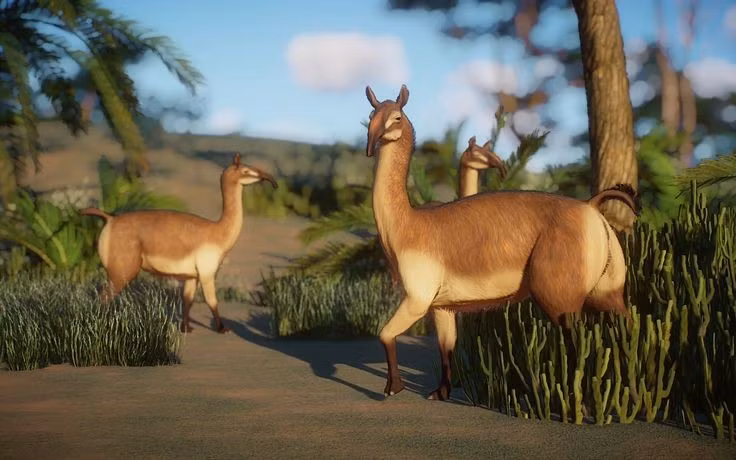  Sống cùng thời với loài người nguyên thủy. Macrauchenia tồn tại đến khoảng 10.000 năm trước, trùng với thời điểm con người bắt đầu định cư ở Nam Mỹ. Ảnh: Pinterest.