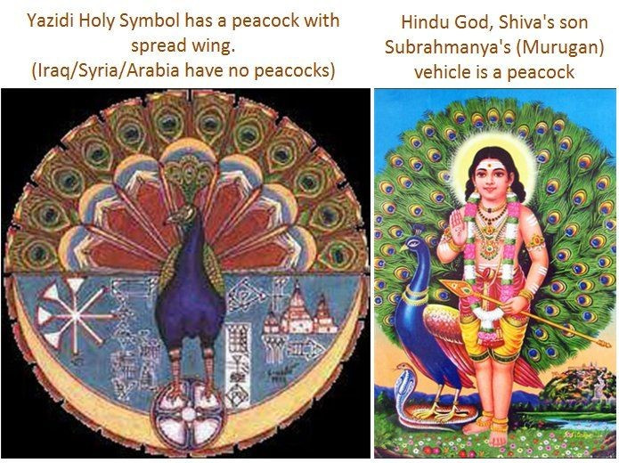  Tôn kính Thiên thần Công – Melek Taus. Nhân vật trung tâm trong tín ngưỡng Yazidi là Melek Taus, thường được gọi là Thiên thần Công. Biểu tượng con công đại diện cho ánh sáng và sự tái sinh, nhưng sự hiểu lầm về hình tượng này từng khiến cộng đồng Yazidi bị vu cáo và kỳ thị trong lịch sử. Ảnh: Pinterest.