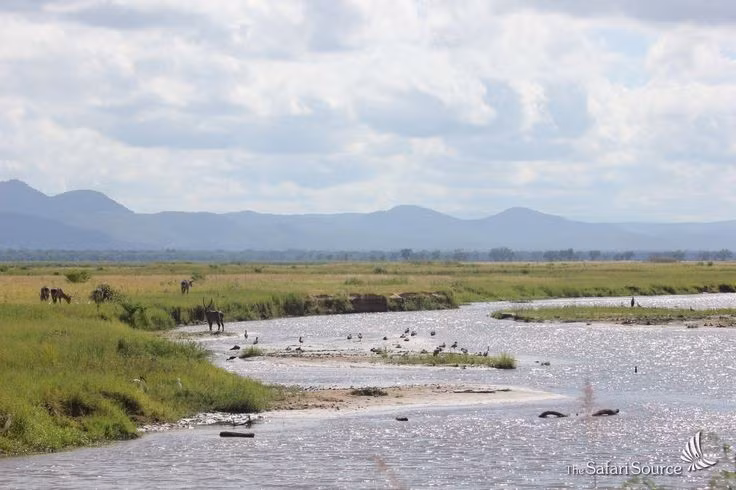 Hệ sinh thái ngập lũ theo mùa độc đáo. Mỗi năm, khi nước sông Zambezi dâng cao, vùng đồng bằng biến thành biển nước mênh mông, tạo điều kiện cho cá, chim và thú lớn sinh sôi mạnh mẽ. Ảnh: Pinterest.