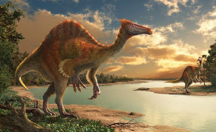  Chế độ ăn rất linh hoạt. Dấu vết hóa thạch cho thấy Deinocheirus ăn cả cá, thực vật thủy sinh và động vật nhỏ, chứng tỏ nó là loài ăn tạp. Ảnh: Pinterest.