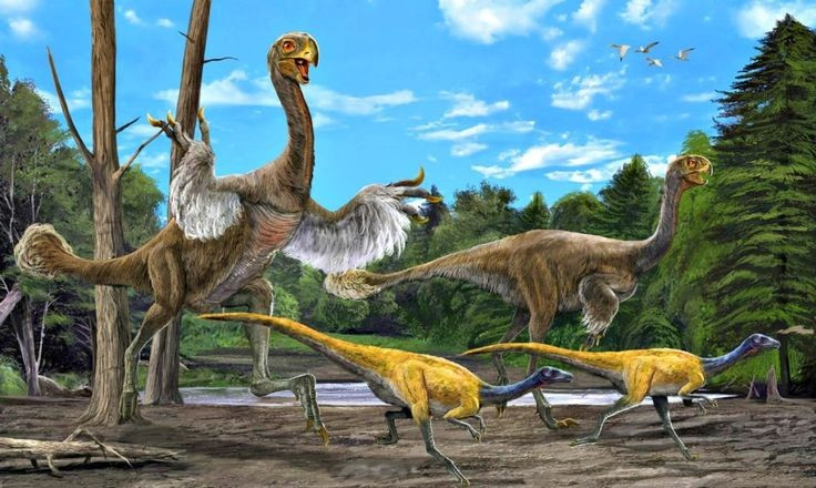  Phát hiện tại sa mạc Gobi mang tính bước ngoặt. Hóa thạch Gigantoraptor được khai quật năm 2005 ở Nội Mông, Trung Quốc, trong trầm tích kỷ Phấn Trắng muộn, mở ra hiểu biết mới về hệ sinh thái cổ đại khu vực này. Ảnh: Pinterest.