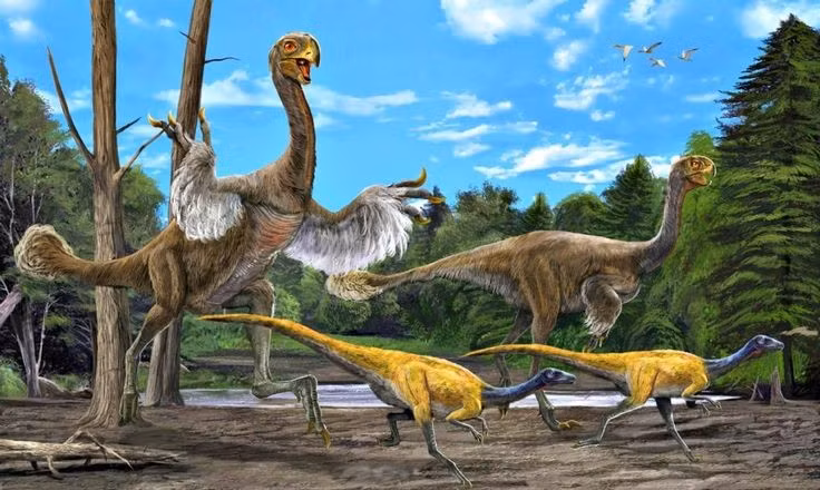  Phát hiện tại sa mạc Gobi mang tính bước ngoặt. Hóa thạch Gigantoraptor được khai quật năm 2005 ở Nội Mông, Trung Quốc, trong trầm tích kỷ Phấn Trắng muộn, mở ra hiểu biết mới về hệ sinh thái cổ đại khu vực này. Ảnh: Pinterest.