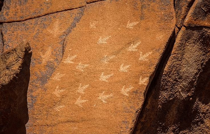  Niên đại có thể lên tới 40.000 năm. Một số hình khắc được cho là xuất hiện từ thời kỳ người bản địa đầu tiên đặt chân đến Úc, phản ánh lịch sử lâu dài của nhân loại. Ảnh: Pinterest.