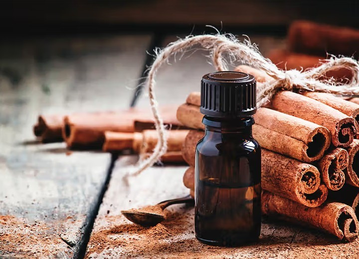 Tinh dầu quế giúp xua đuổi rắn hiệu quả khỏi vườn.