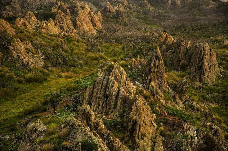  Có địa hình đa dạng và khí hậu khắc nghiệt. Từ đỉnh núi phủ tuyết, cao nguyên gió mạnh đến hệ thống hang động và sông ngầm, Tasmania mang đến cảnh quan ngoạn mục nhưng đầy thử thách. Ảnh: Pinterest.