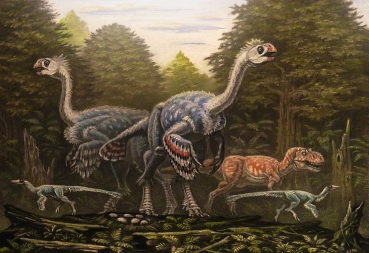  Thách thức hình ảnh “khủng long raptor” trong văn hóa đại chúng. Sự tồn tại của Gigantoraptor cho thấy không phải mọi loài “raptor” đều nhỏ, nhanh và hung dữ, mà có thể là những sinh vật khổng lồ, thông minh và thích nghi đa dạng. Ảnh: Pinterest.