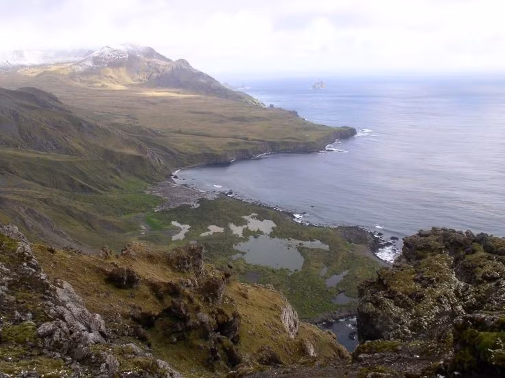 Gồm nhiều nhóm đảo nhỏ biệt lập. Quần đảo Sub-Antarctic bao gồm các nhóm đảo Auckland, Campbell, Antipodes, Snares và Bounty, nằm rải rác ở phía Nam New Zealand. Ảnh: Pinterest.