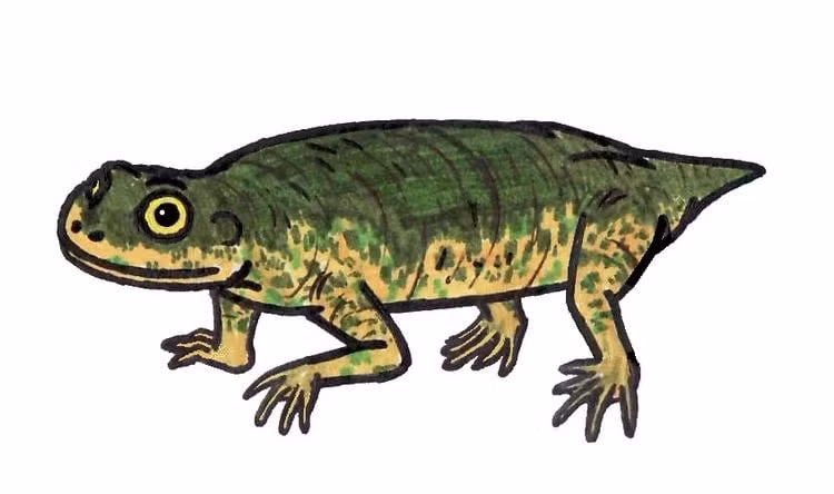  8. Dù chỉ có một mẫu hóa thạch, giá trị rất lớn. Mẫu hóa thạch duy nhất vẫn còn khá nguyên vẹn, giúp các nhà khoa học phân tích chi tiết cấu trúc giải phẫu của loài này. Ảnh: alchetron.com.