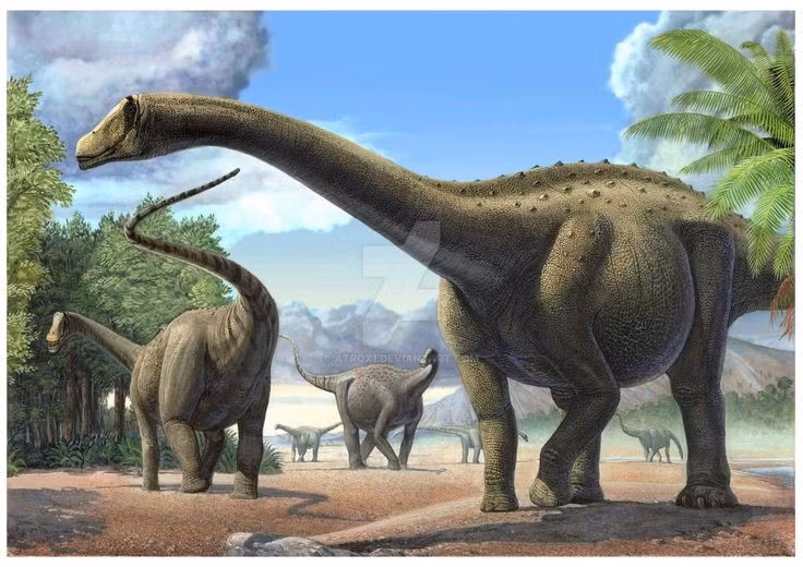  Cổ của Nigersaurus không dài và linh hoạt như nhiều khủng long sauropod khác. Điều này cho thấy chúng chủ yếu ăn thực vật thấp, không cần vươn cao để kiếm thức ăn. Ảnh: Pinterest.
