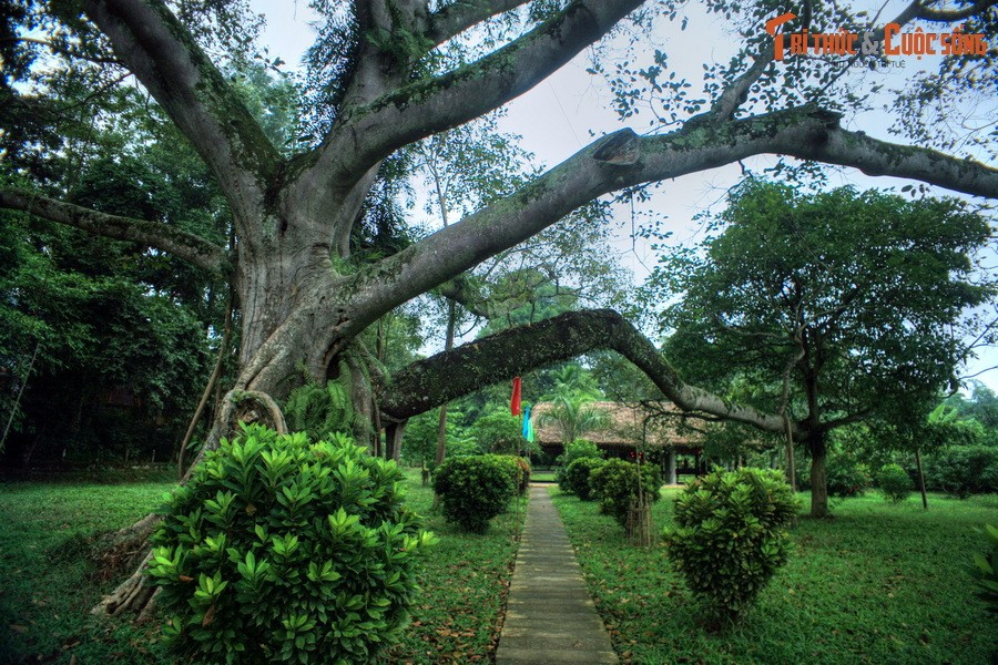 Đình Hồng Thái nằm tại địa phận của làng Cả trong chiến khu Tân Trào, là trạm giao liên và là nơi huấn luyện quân sự trong suốt thời kỳ kháng chiến. Đình còn là điểm dừng chân của các đại biểu toàn quốc về dự Quốc dân Đại hội, là trạm thường trực của "An toàn khu của Trung ương đóng ở Tân Trào".