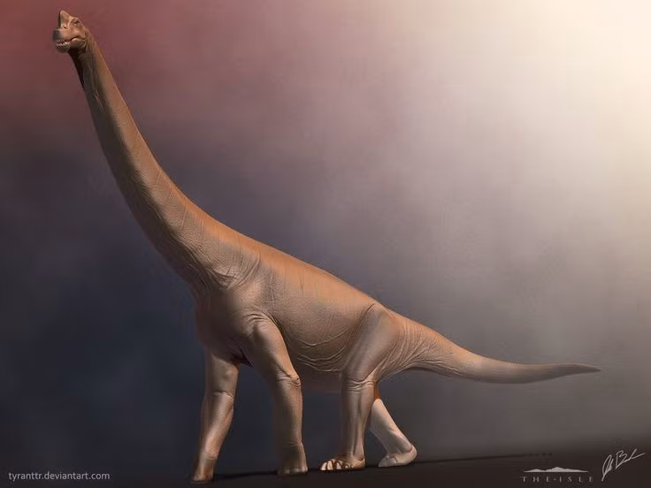  2. Cổ của nó dài tới gần 9 mét. Chiếc cổ khổng lồ không chỉ hỗ trợ trong việc ăn lá cây mà còn giúp nó quan sát kẻ săn mồi từ xa, tạo lợi thế sinh tồn. Ảnh: Pinterest.