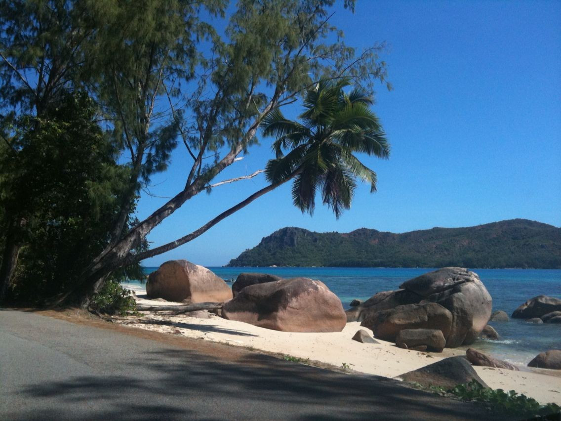  Hệ sinh thái gần như nguyên sơ. Do vị trí biệt lập và ít bị con người tác động, đảo giữ được môi trường tự nhiên với các loài động thực vật đặc hữu phong phú. Ảnh: Pinterest.