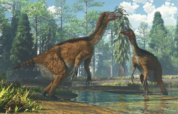  Chúng đi bằng hai chân một cách chậm chạp. Khối lượng lớn và cấu trúc cơ thể khiến chúng không thể chạy nhanh. Ảnh: Pinterest.