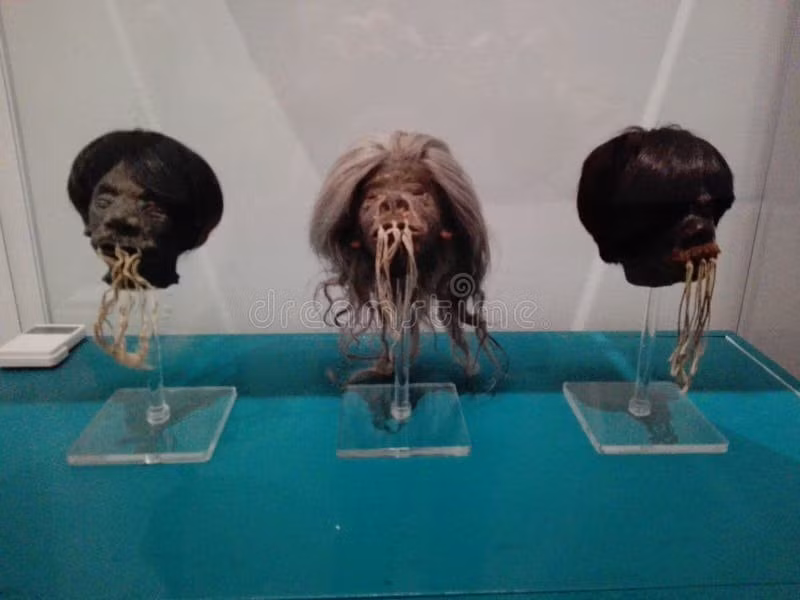  Nổi tiếng với nghi lễ tsantsa. Người Shuar từng được thế giới biết đến qua tập tục thu nhỏ đầu người, gọi là tsantsa, gắn với niềm tin cổ xưa về việc kiểm soát sức mạnh tinh thần của kẻ thù, dù nghi lễ này đã chấm dứt từ lâu. Ảnh: dreamstime.com.