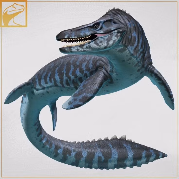  7. Hóa thạch được tìm thấy ở Bắc Mỹ. Nhiều mẫu vật Tylosaurus được khai quật ở Kansas và các khu vực từng là biển nội địa cổ đại của Bắc Mỹ. Ảnh: Pinterest.