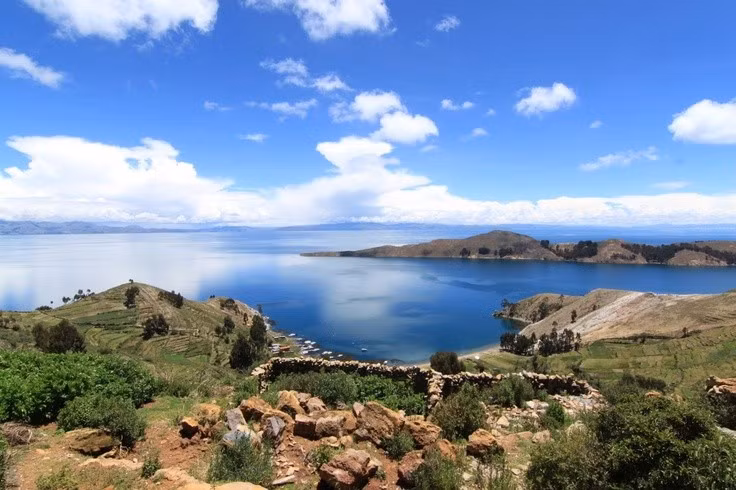  5. Có hệ sinh thái phong phú và độc đáo. Hồ là nơi cư trú của nhiều loài đặc hữu, như loài ếch khổng lồ Titicaca và các loài cá chỉ có ở đây, tạo nên một hệ sinh thái riêng biệt. Ảnh: Pinterest.