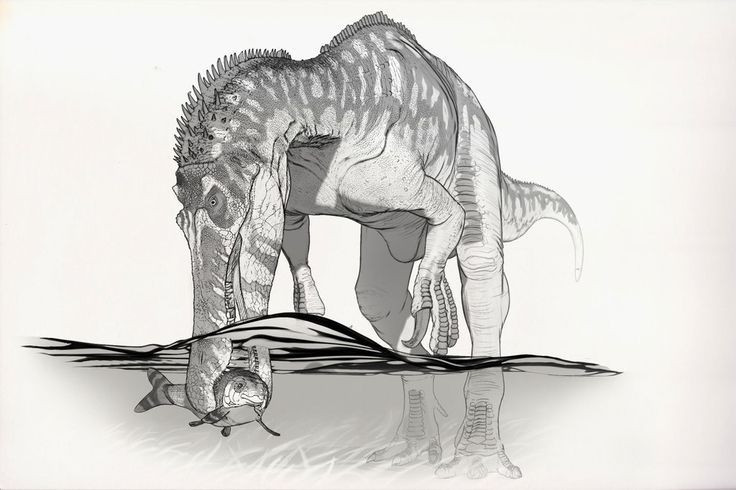  Sống gần môi trường sông hồ và đầm lầy. Các dấu tích hóa thạch cho thấy Baryonyx thường sinh sống ở vùng ven sông, đầm lầy và đồng bằng ngập nước, nơi nguồn cá và động vật thủy sinh dồi dào. Ảnh: Pinterest.