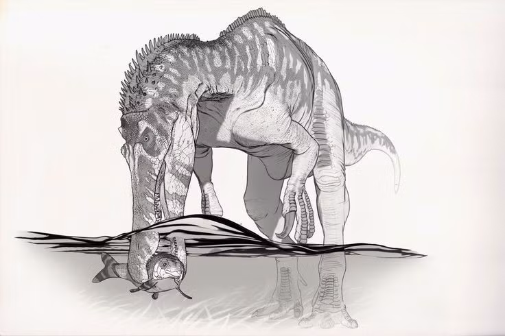  Sống gần môi trường sông hồ và đầm lầy. Các dấu tích hóa thạch cho thấy Baryonyx thường sinh sống ở vùng ven sông, đầm lầy và đồng bằng ngập nước, nơi nguồn cá và động vật thủy sinh dồi dào. Ảnh: Pinterest.
