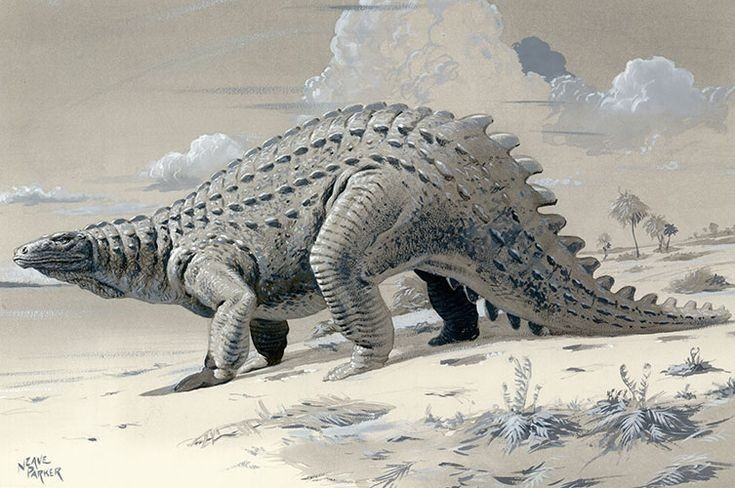  Kích thước trung bình và chắc khỏe. Scelidosaurus dài khoảng 4 mét và nặng gần 300 kilogram. Thân hình thấp, dài và nặng về phía trước giúp nó ổn định khi di chuyển. Ảnh: Pinterest.