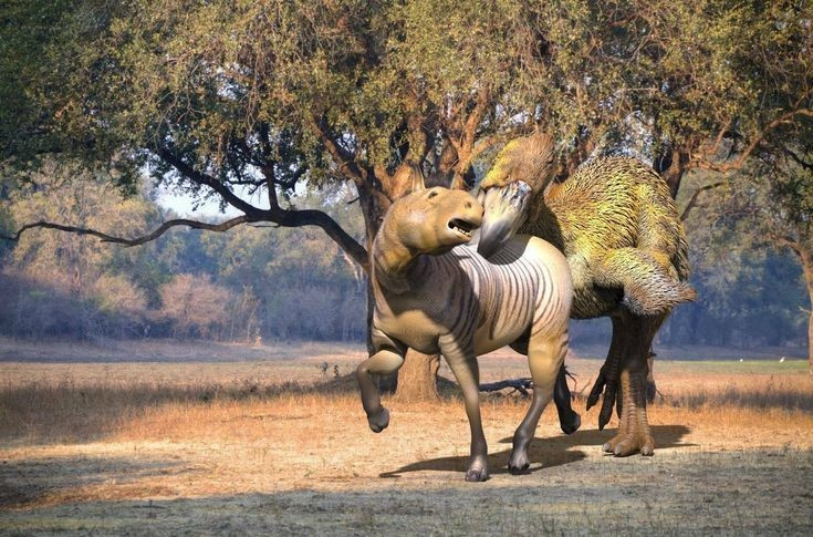 View - Cái mỏ đáng sợ của chim săn mồi khủng nhất thời tiền sử | Báo Tri thức và Cuộc sống - TIN TỨC PHỔ BIẾN KIẾN THỨC 24H