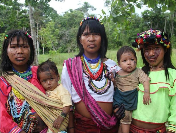  Sinh kế dựa vào rừng và sông. Họ sống bằng săn bắt, đánh cá, trồng trọt quy mô nhỏ như sắn, chuối, cùng việc thu hái dược liệu, phản ánh lối sống thích nghi bền vững với rừng mưa Amazon. Ảnh: Pinterest.