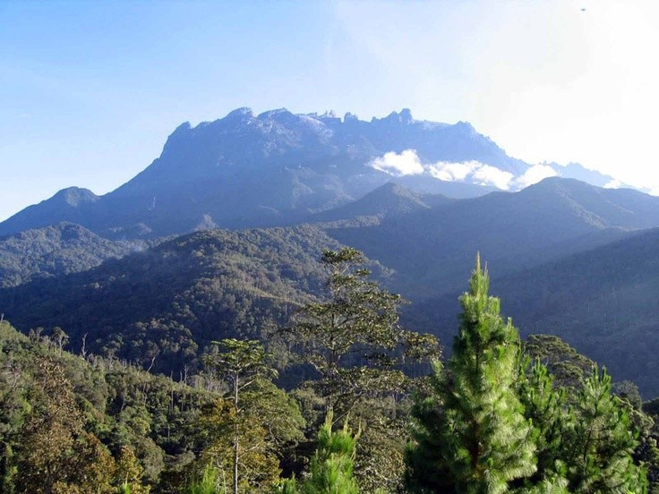  Kinabalu sở hữu số lượng thực vật đáng kinh ngạc. Vườn quốc gia ghi nhận hơn 5.000 loài thực vật, trong đó có hàng trăm loài phong lan và nhiều loài cây ăn thịt hiếm gặp như nắp ấm Nepenthes. Ảnh: Pinterest.