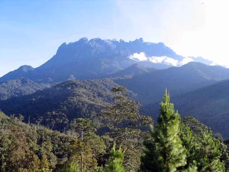  Kinabalu sở hữu số lượng thực vật đáng kinh ngạc. Vườn quốc gia ghi nhận hơn 5.000 loài thực vật, trong đó có hàng trăm loài phong lan và nhiều loài cây ăn thịt hiếm gặp như nắp ấm Nepenthes. Ảnh: Pinterest.