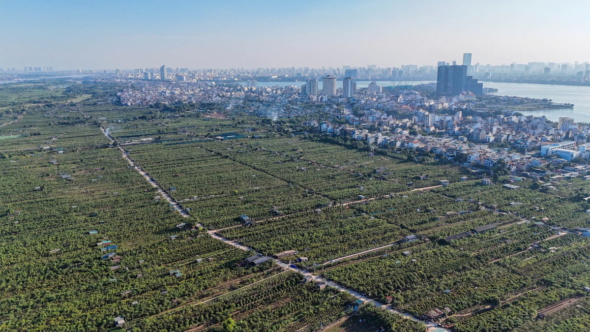 Dự án chia thành ba vùng đô thị theo ba đoạn dọc sông Hồng. Đoạn từ cầu Hồng Hà đến cầu Thăng Long là khu vực công viên cây xanh sinh thái, bảo tồn tự nhiên và thể dục thể thao.