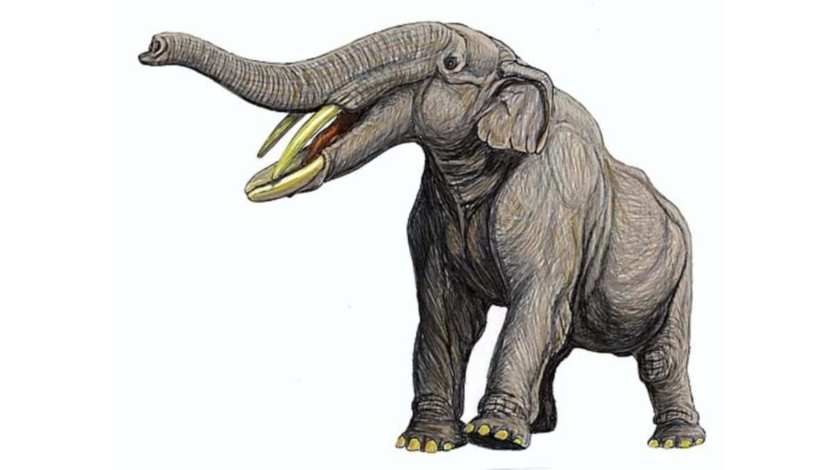  Sự tuyệt chủng liên quan đến biến đổi khí hậu và con người. Nhiều nghiên cứu cho rằng Gomphothere biến mất do khí hậu lạnh dần cuối kỷ Băng hà, kết hợp áp lực săn bắt từ người tiền sử. Ảnh: animalsaroundtheglobe.com.