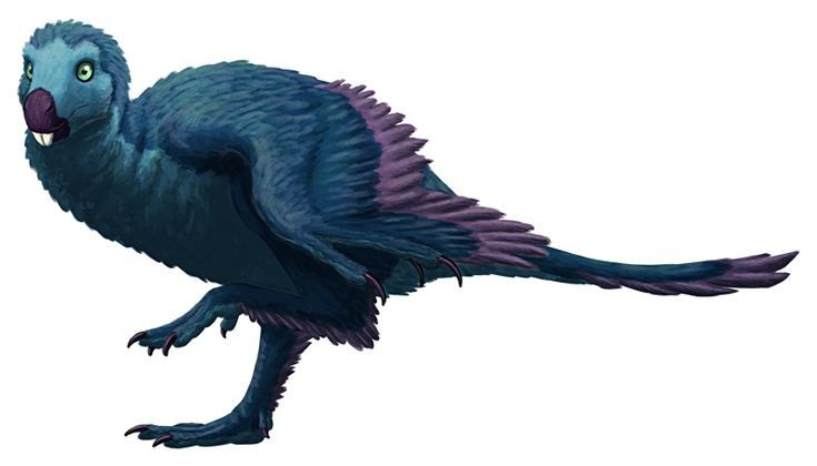  Tên gọi phản ánh hình dạng răng. Tên Incisivosaurus có nghĩa là “thằn lằn răng cửa”, xuất phát từ tiếng Latin “incisivus”, nhấn mạnh đặc điểm giải phẫu độc đáo đã làm nên danh tiếng của loài này trong cổ sinh vật học. Ảnh: Pinterest.