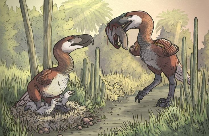 8. Hóa thạch của Titanis rất hiếm. Rất ít bộ xương Titanis được phát hiện đầy đủ, khiến các nhà cổ sinh vật học vẫn đang tranh luận về chi tiết hình thái học của chúng. Ảnh: Pinterest.