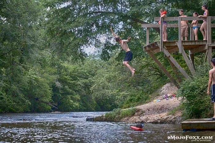  4. Hệ sinh thái phong phú. Sông Mississippi là nơi sinh sống của hơn 260 loài cá, hàng trăm loài chim và vô số động thực vật khác. Ảnh: Pinterest.