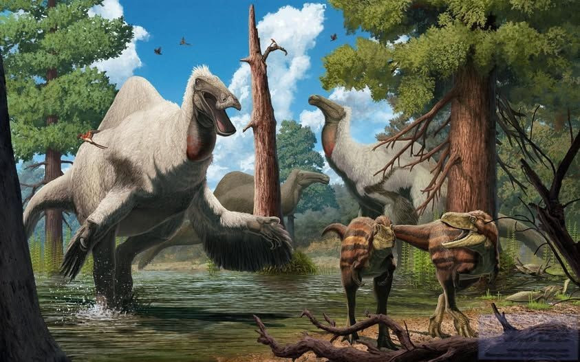  Hình dạng toàn thân chỉ được biết đến rất muộn. Phải đến năm 2014, các nhà khoa học mới công bố bộ xương gần hoàn chỉnh, giải mã hình dáng thật sự của loài. Ảnh: Pinterest.