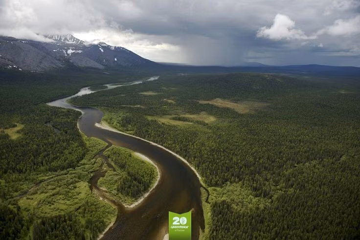  Diện tích khổng lồ. Khu rừng trải rộng hơn 32.800 km², lớn hơn nhiều quốc gia nhỏ ở châu Âu, là lá phổi xanh quan trọng của vùng cực bắc nước Nga. Ảnh: Pinterest.
