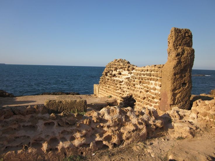  Khu di tích nằm giữa cảnh quan thiên nhiên tuyệt đẹp. Một trong những điểm độc đáo của Tipasa là vị trí nằm trên những ngọn đồi nhìn ra biển Địa Trung Hải. Những tàn tích cổ như cột đá, tường thành và nền nhà nằm xen giữa cây cối xanh tươi, tạo nên khung cảnh vừa cổ kính vừa thơ mộng. Ảnh: Pinterest.