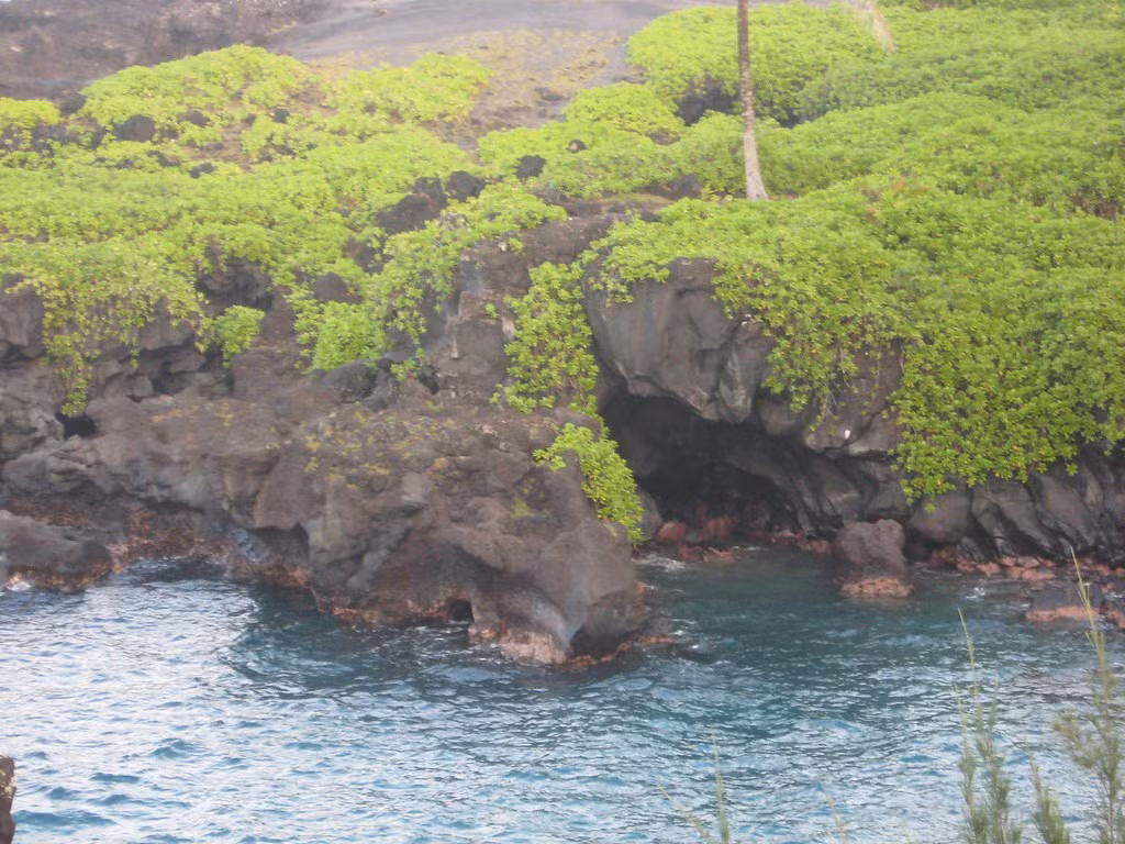  Là một trong những đảo san hô nâng hiếm hoi trên thế giới. Đảo Henderson không phải là đảo núi lửa mà là đảo san hô nâng, được hình thành khi các rạn san hô cổ bị nâng lên khỏi mặt nước qua hoạt động địa chất. Địa hình gồ ghề với đá vôi sắc nhọn khiến việc di chuyển trên đảo trở nên khó khăn. Ảnh: Flickr.