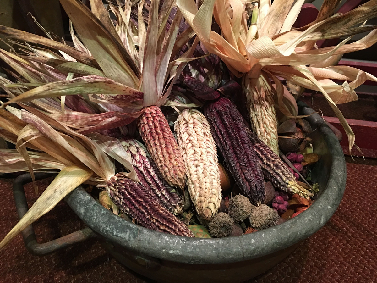  Biểu tượng văn hóa và tín ngưỡng. Trong nhiều nền văn minh cổ như Maya và Aztec, ngô được xem là cây thiêng gắn với sự sống và thần linh. Hình ảnh ngô xuất hiện trong nghi lễ, thần thoại và nghệ thuật, cho thấy vai trò sâu sắc của loài cây này trong đời sống tinh thần con người. Ảnh: Pinterest.