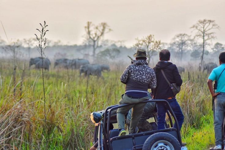  Từng chịu tổn thất nghiêm trọng. Trong những thập niên cuối thế kỷ 20, Manas bị ảnh hưởng nặng nề bởi xung đột và săn bắn trái phép, khiến nhiều quần thể động vật suy giảm mạnh. Ảnh: Pinterest.
