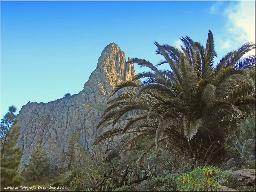  Đa dạng sinh học với nhiều loài đặc hữu. Khu vườn quốc gia là nơi sinh sống của nhiều loài thực vật và động vật đặc hữu. Sự cô lập địa lý đã thúc đẩy quá trình tiến hóa riêng biệt của các loài tại đây. Ảnh: Flickr.