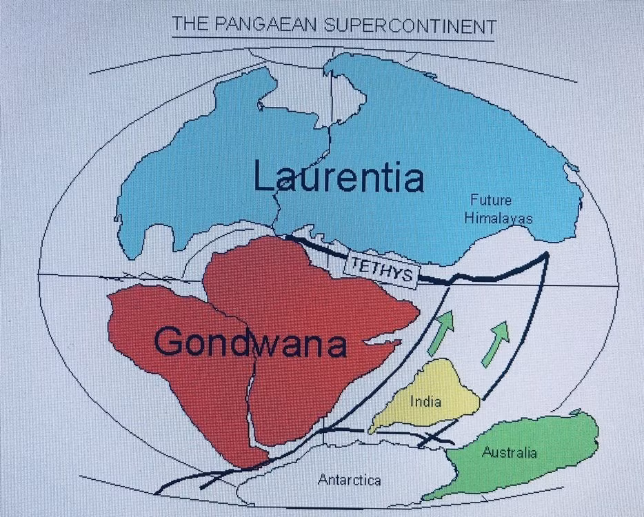  Gondwana từng nối liền với Laurasia. Cả hai tạo thành siêu lục địa Pangaea trước khi tách ra thành hai nửa lớn của thế giới. Ảnh: Pinterest.