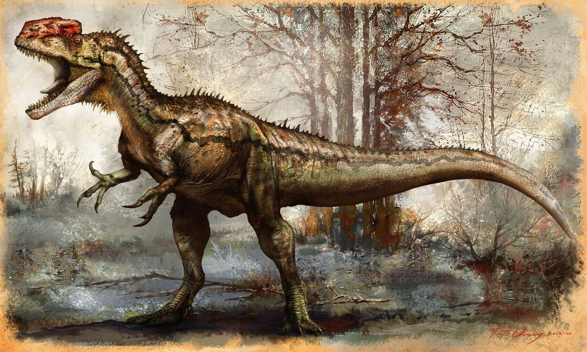  Tên gọi nghĩa là “thằn lằn mào đơn”. Tên gọi Monolophosaurus có nguồn gốc từ tiếng Hy Lạp, trong đó “mono” nghĩa là một, “lophos” là mào và “sauros” là thằn lằn, ám chỉ chiếc mào xương lớn chạy dọc trên đỉnh hộp sọ. Đặc điểm này khiến nó khác biệt rõ rệt so với nhiều khủng long ăn thịt khác. Ảnh: Pinterest.