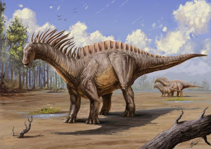 Amargasaurus có hai hàng gai cổ dựng đứng rất kỳ lạ. Các gai này có thể mang da căng thành mào, hoặc dùng để phòng thủ. Ảnh: Pinterest.