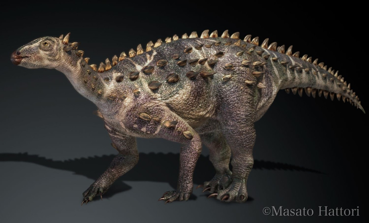  Cơ thể được bao phủ bởi các tấm giáp xương. Dọc lưng và hai bên sườn của Scelidosaurus là các tấm xương nhỏ gọi là osteoderm. Những cấu trúc này tạo thành lớp bảo vệ chống lại kẻ săn mồi đương thời. Ảnh: Pinterest.